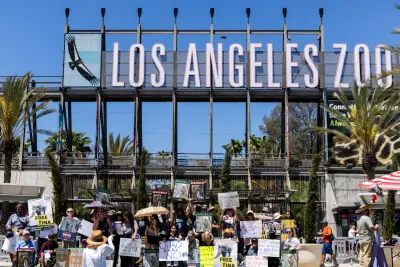 As L.A. resident sues zoo over Billy and Tina, Cher says elephants have 'served their time'