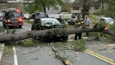 Wild winds topple branch onto car as storm blows through Tewksbury