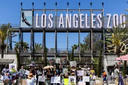 As L.A. resident sues zoo over Billy and Tina, Cher says elephants have 'served their time'