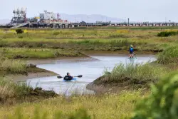 After two decades of restoration work, a crucial Bay Area habitat returns to its original natural beauty